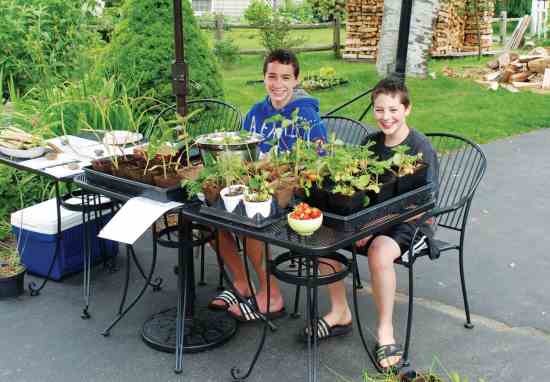 Maxim and Sebastian Doiron are earning extra summer cash by running a farm stand in their neighborhood.